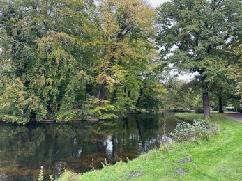 Photo of Beautiful water channel and different plants in park