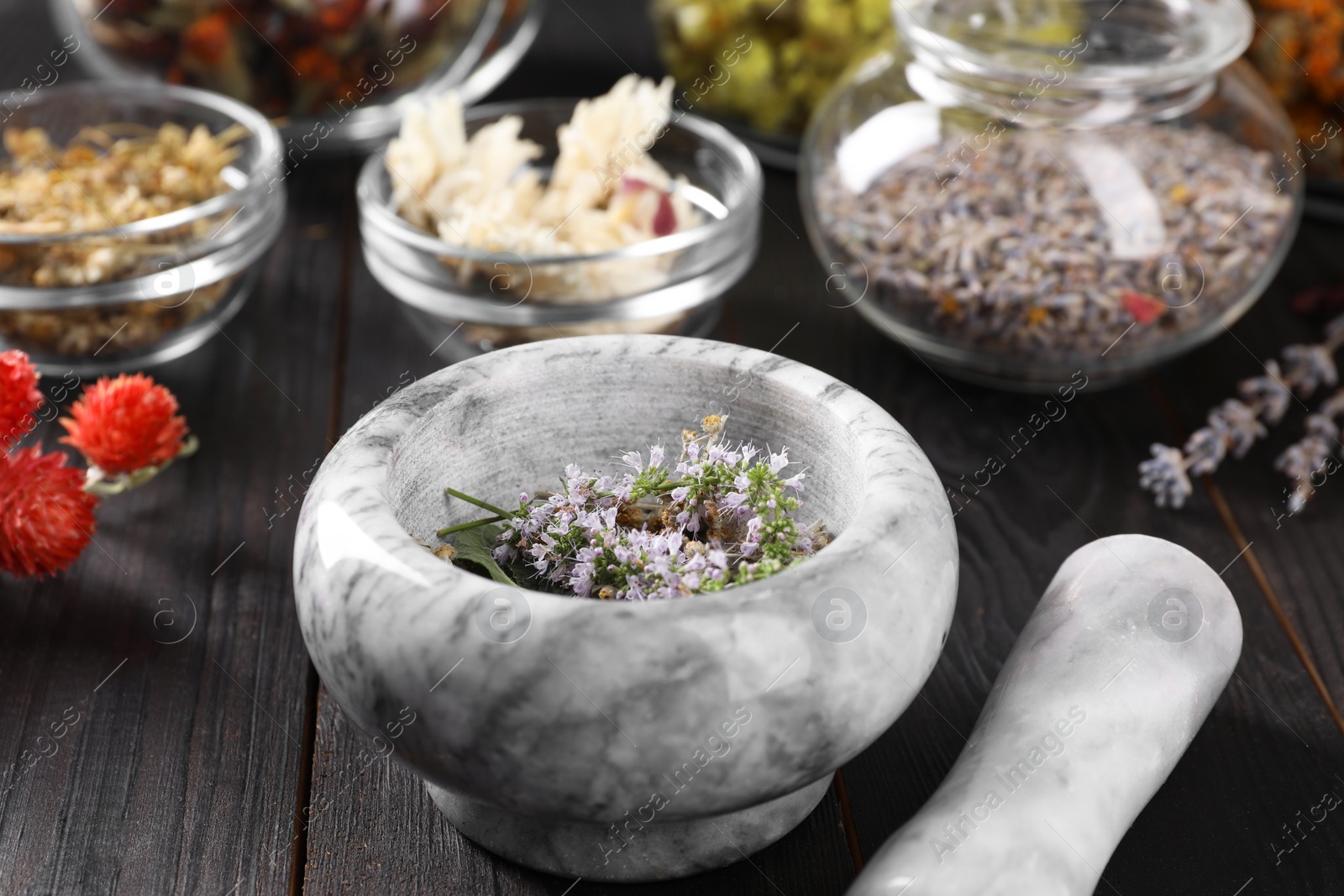 Photo of Mortar and many different herbs on wooden table, closeup