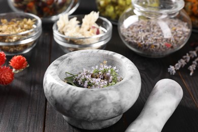 Mortar and many different herbs on wooden table, closeup