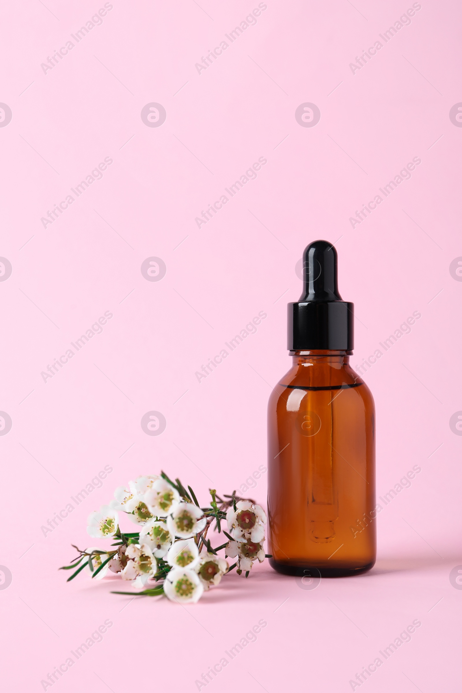 Photo of Bottle with cosmetic oil and flowers on pink background, space for text