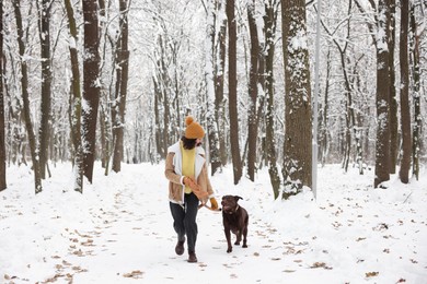 Woman with adorable Labrador Retriever dog running in snowy park