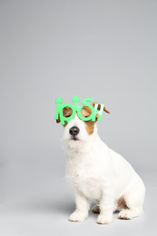 Photo of Jack Russell terrier with Irish party glasses on light grey background. St. Patrick's Day