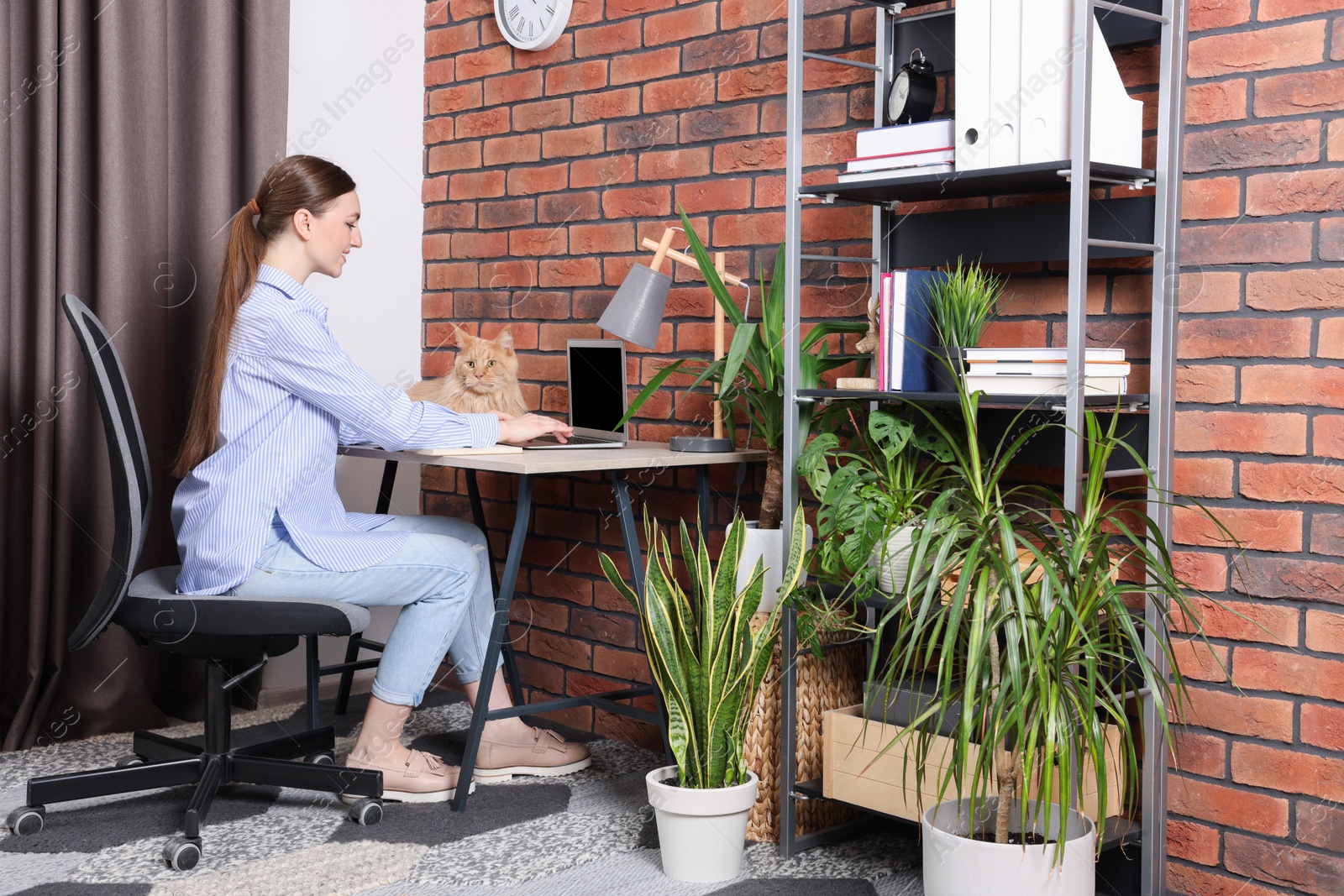 Photo of Woman with beautiful cat working at desk. Home office