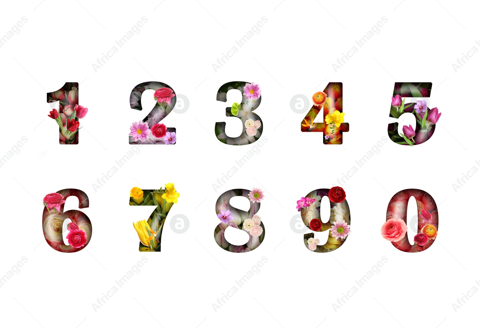 Image of Numbers made of flowers on white background