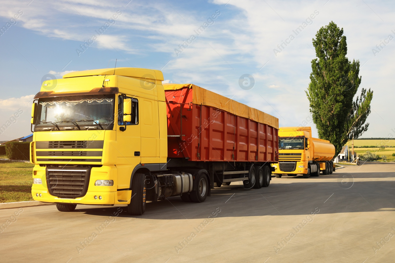 Photo of Modern bright trucks parked on country road