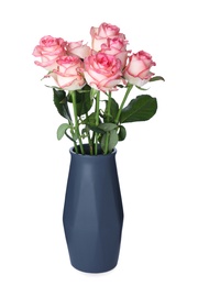 Photo of Dark blue vase with beautiful pink roses isolated on white