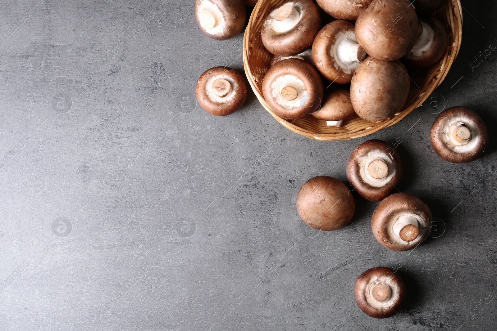 Photo of Wicker bowl and fresh champignon mushrooms on grey background, top view with space for text