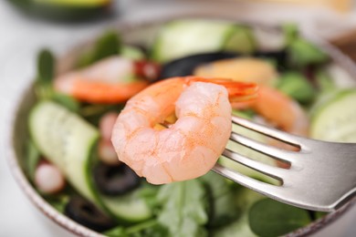 Fork with shrimp, closeup. Eating delicious seafood salad