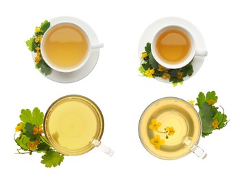 Set with cups of  aromatic celandine tea on white background, top view 