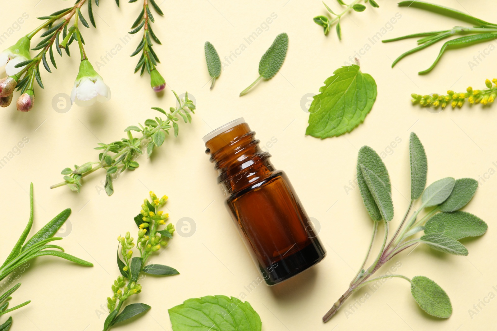 Photo of Bottle of essential oil and different herbs on beige background, flat lay