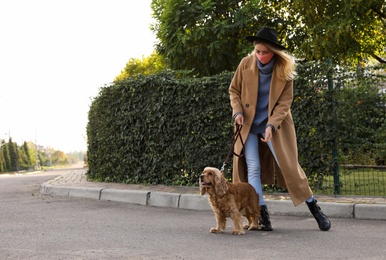 Woman in protective mask with English Cocker Spaniel outdoors. Walking dog during COVID-19 pandemic