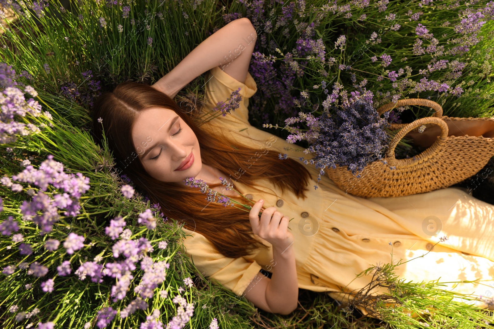 Photo of Young woman lying in lavender field on summer day