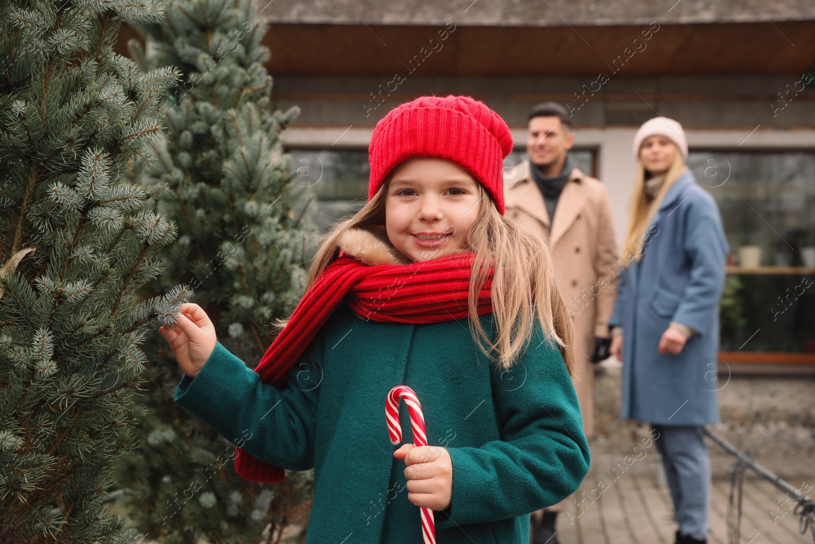 Photo of Family choosing plants at Christmas tree market