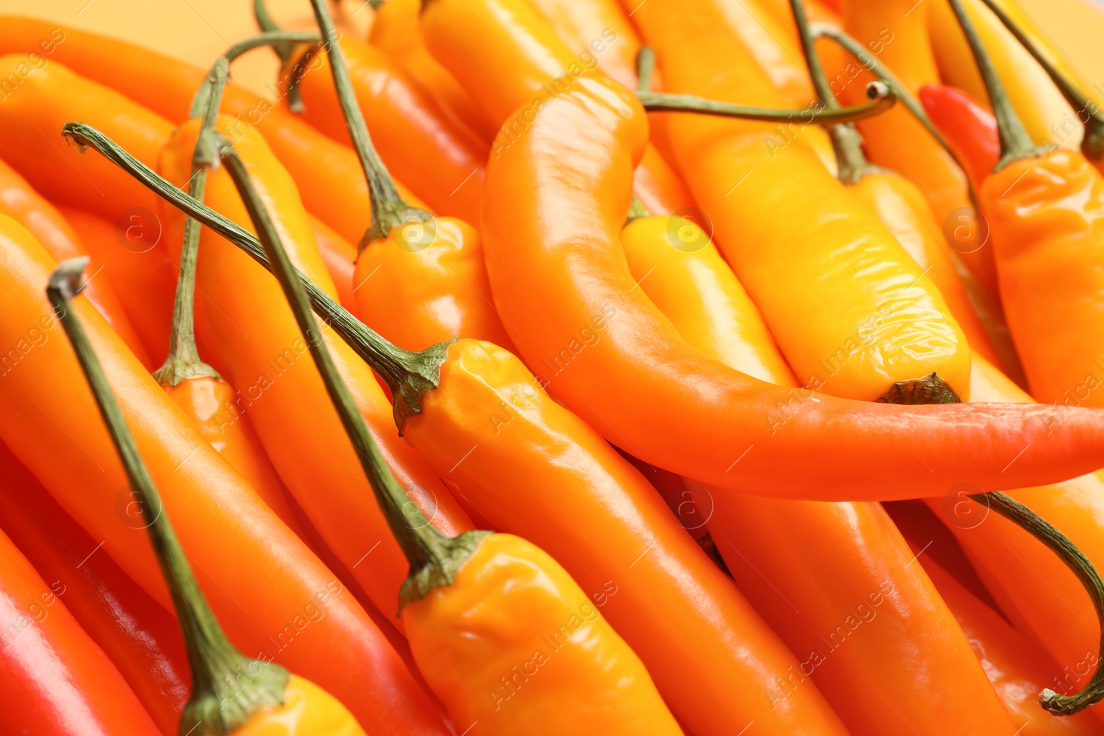 Photo of Ripe yellow chili peppers as background, closeup