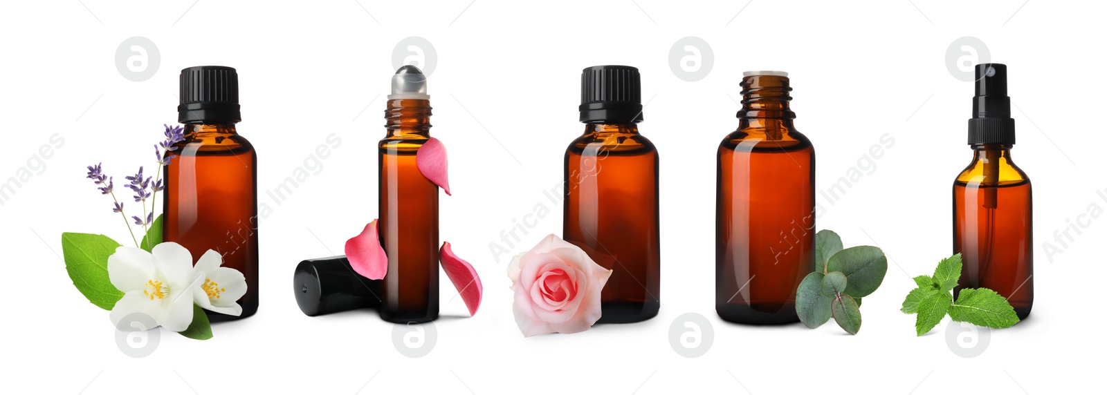 Image of Set of different essential oils in bottles and ingredients on white background