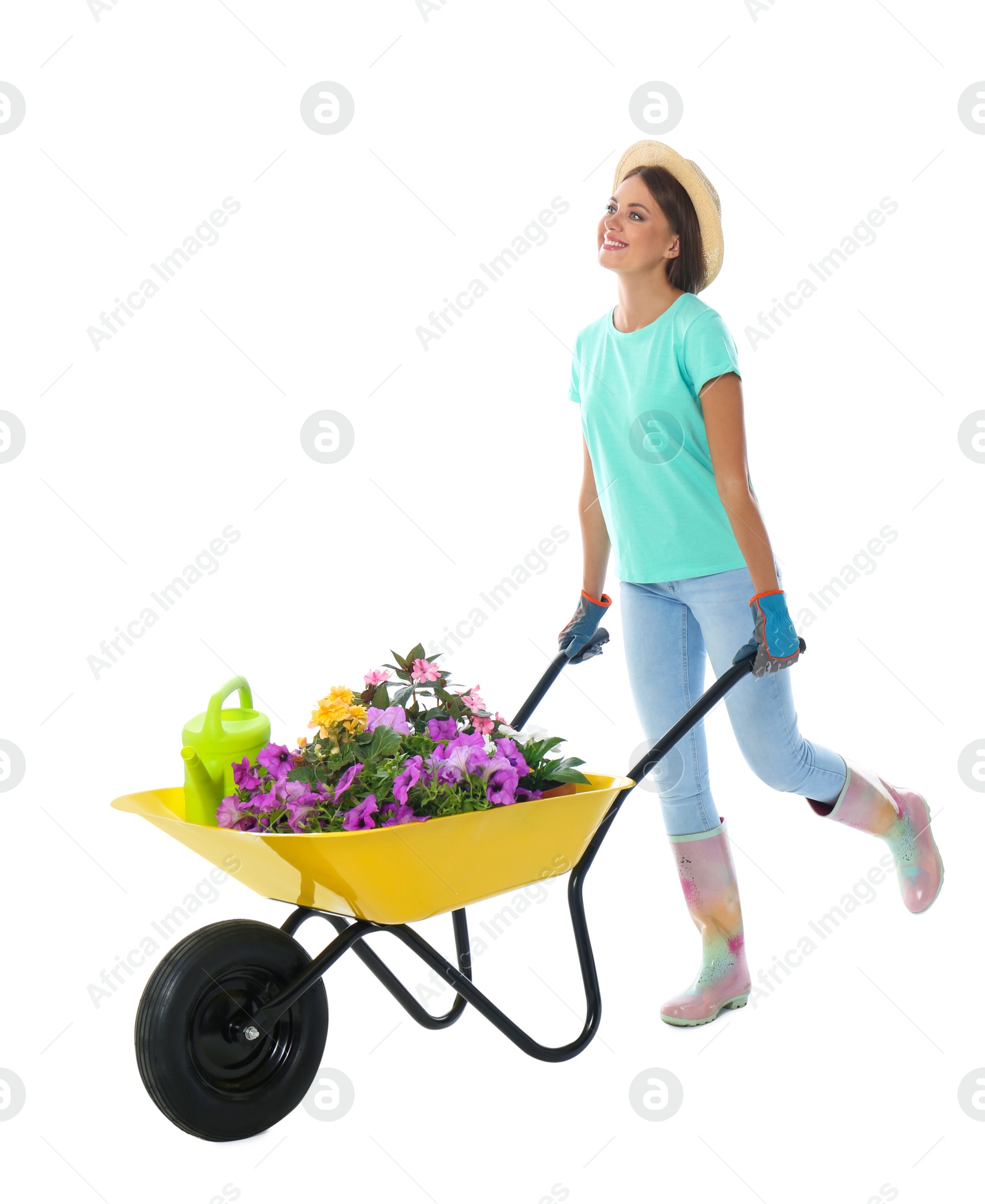 Photo of Female gardener with wheelbarrow and plants on white background