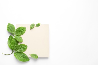 Photo of Blank card and spring green leaves on white background, top view. Space for text