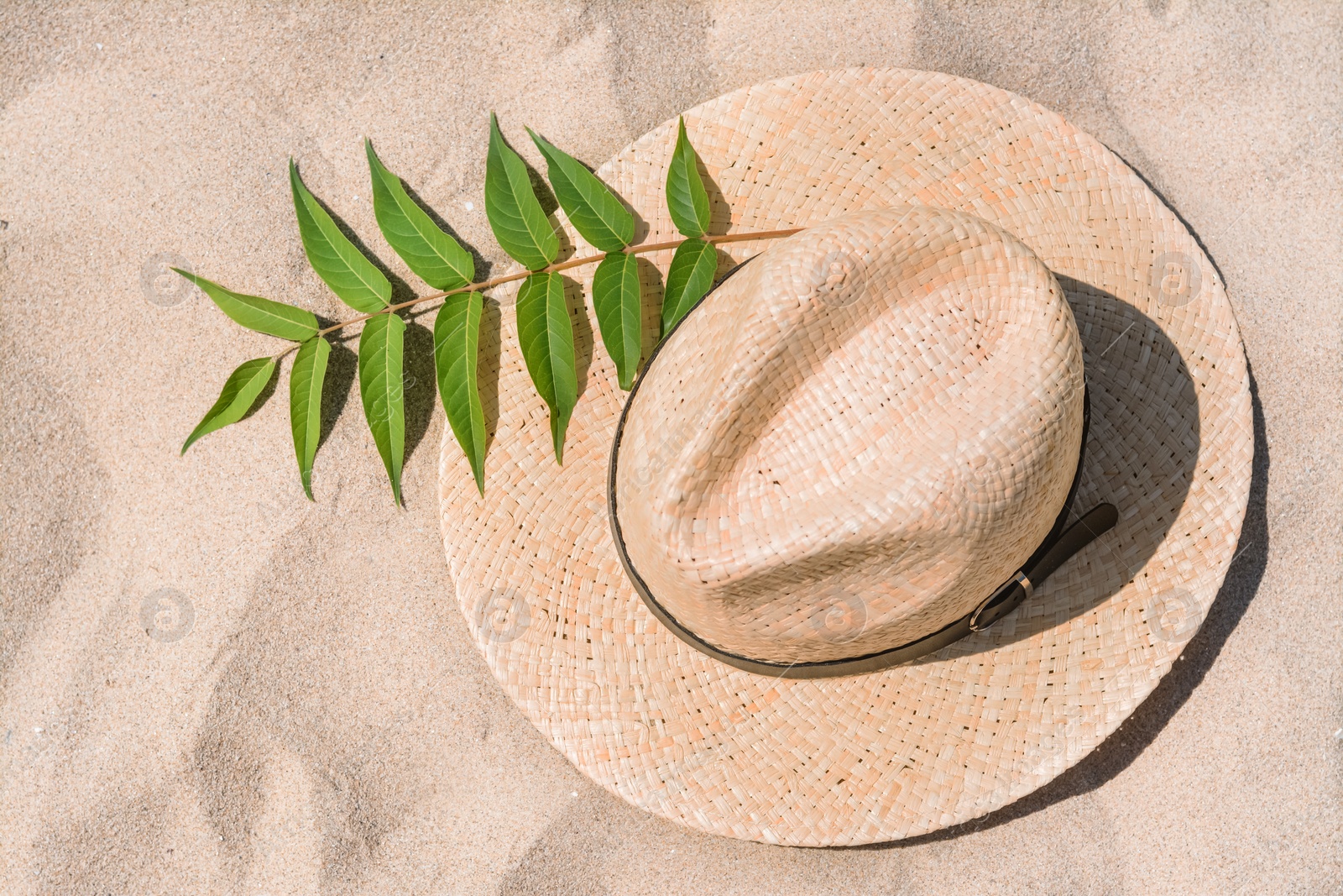 Photo of Straw hat and green leaves on sandy beach, top view