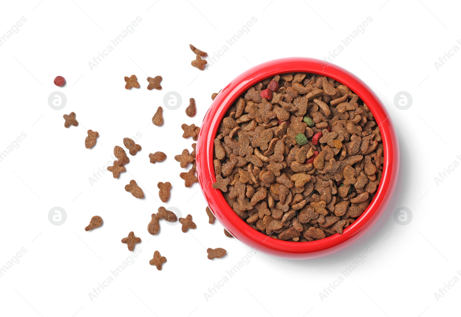 Photo of Bowl with food for cat or dog on white background. Pet care