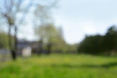 Photo of Blurred view of park on sunny day