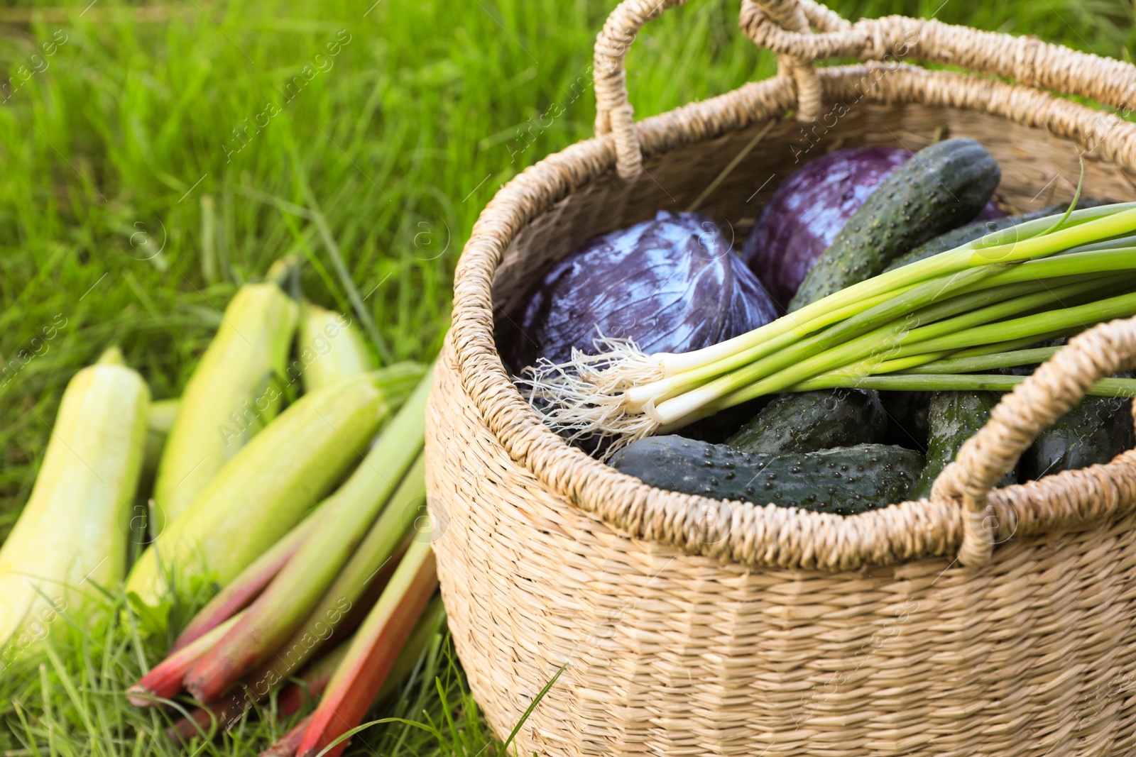 Photo of Tasty vegetables with wicker basket on green grass, closeup