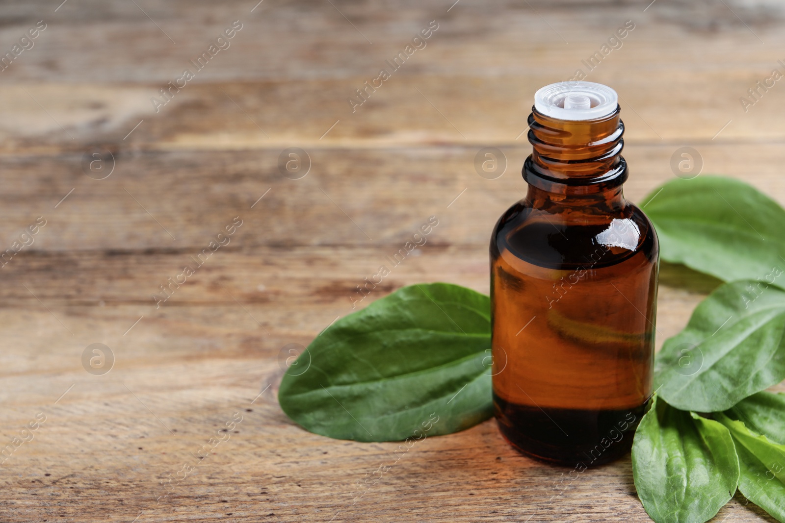 Photo of Bottle of broadleaf plantain extract and leaves on wooden table, space for text