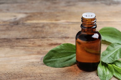 Photo of Bottle of broadleaf plantain extract and leaves on wooden table, space for text