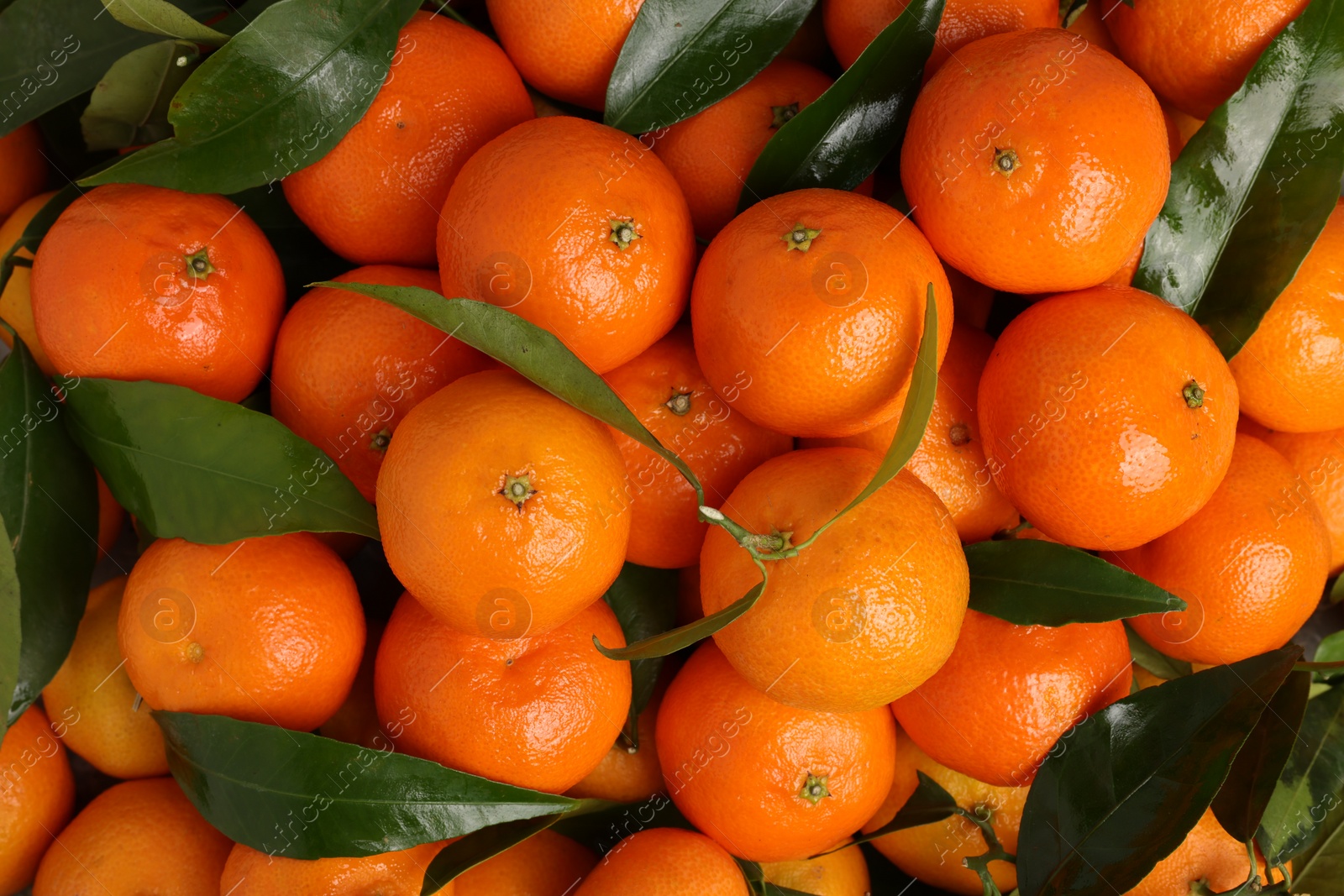 Photo of Delicious tangerines with leaves as background, top view