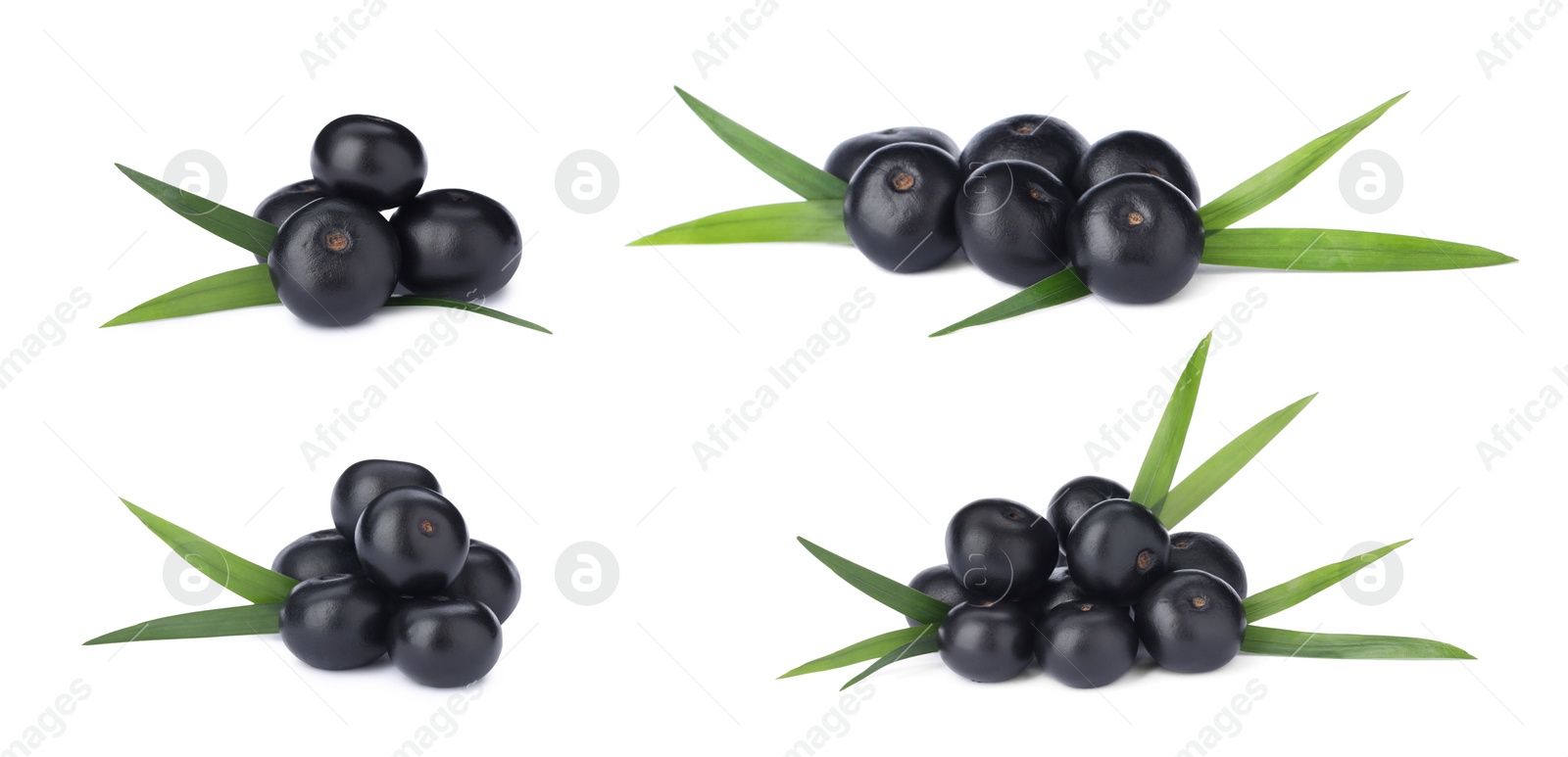 Image of Set with acai berries on white background. Banner design