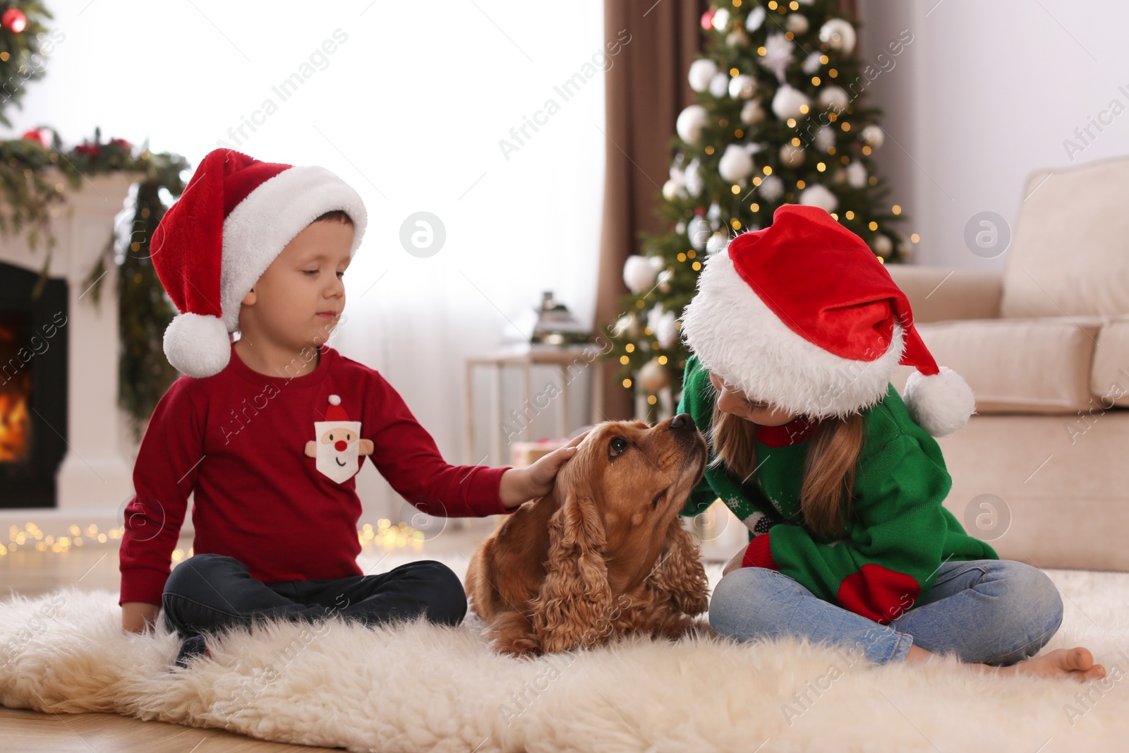 Photo of Cute little kids with English Cocker Spaniel in room decorated for Christmas