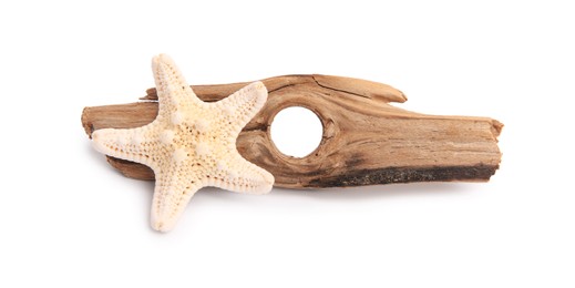 Beautiful sea star (starfish) and tree bark isolated on white