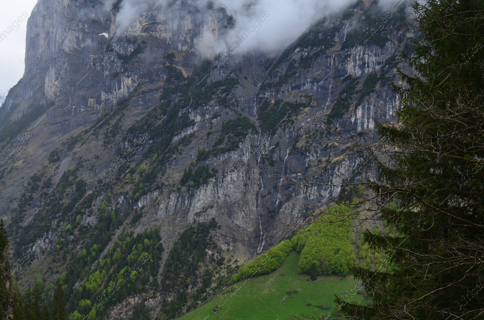 Photo of Picturesque view of mountains with forest covered by mist