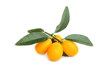 Photo of Fresh ripe kumquats with leaves on white background. Exotic fruit