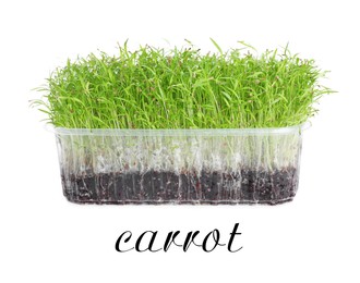 Image of Fresh organic microgreen in plastic container on white background