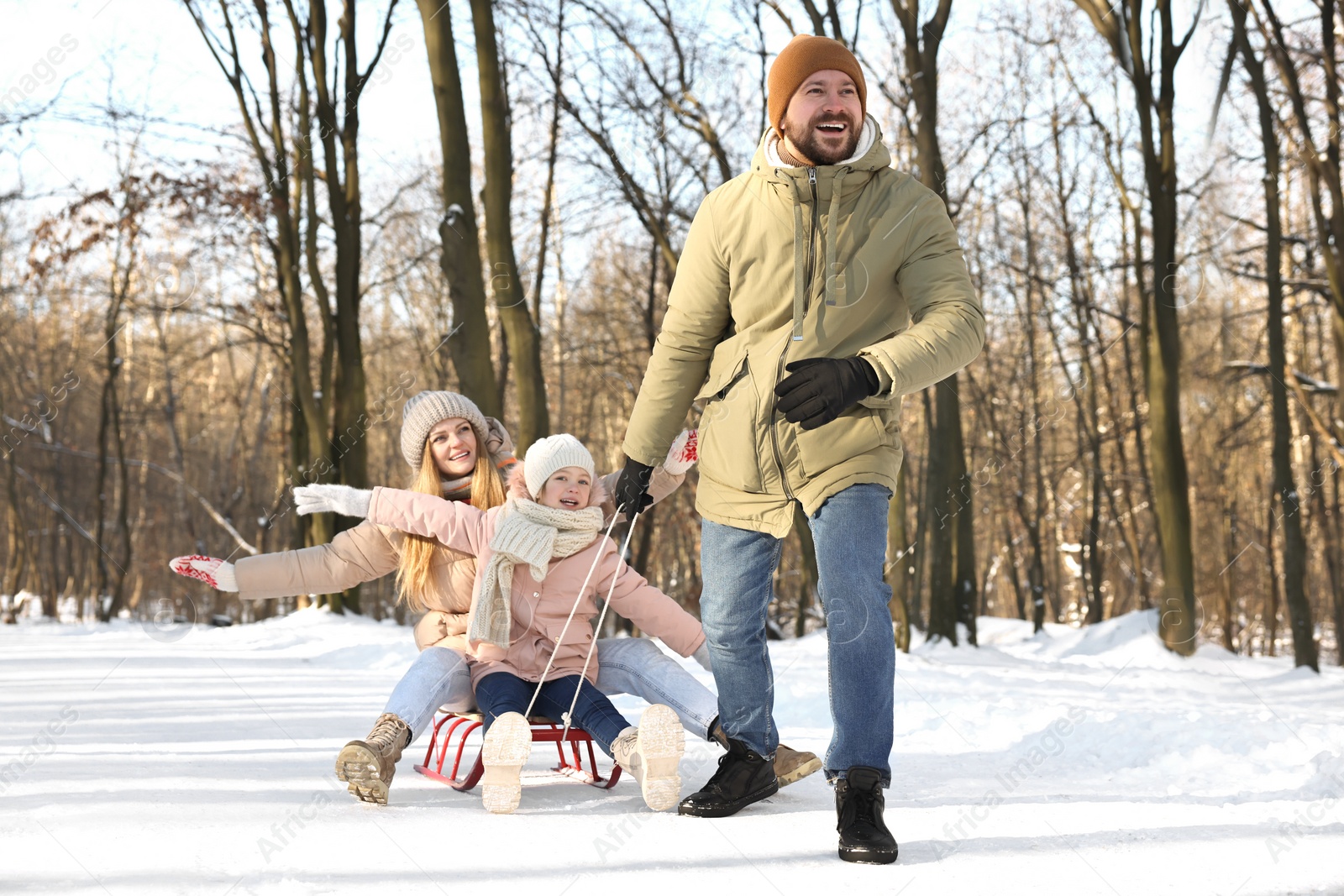 Photo of Happy family having fun with sledge in snowy forest