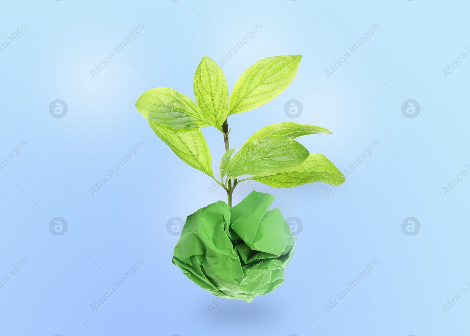 Image of Crumpled sheet of paper on twig with green leaves on light blue background. Recycling concept