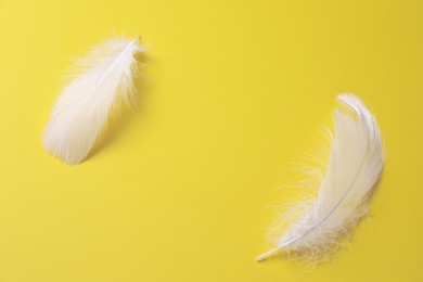 Photo of Fluffy white feathers on yellow background. Space for text