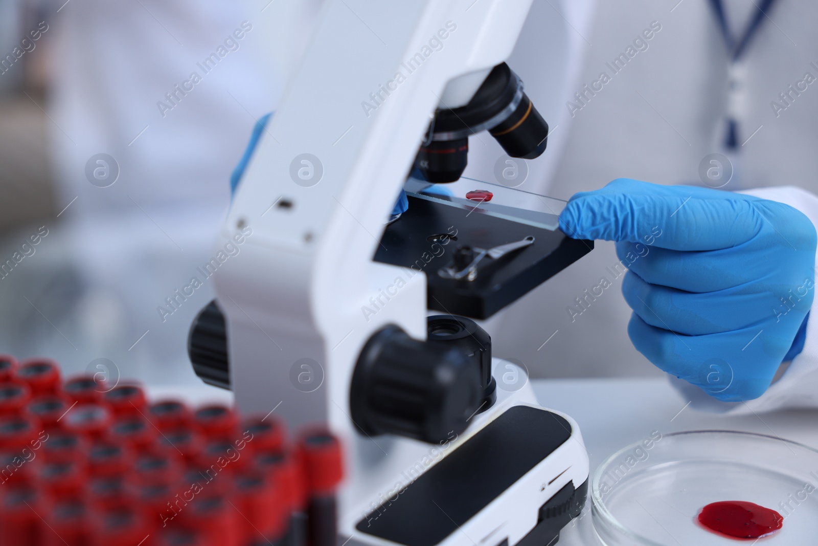 Photo of Scientist working with microscope in laboratory, closeup