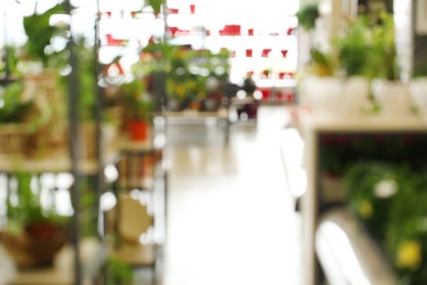 Blurred view of flower shop with tropical plants