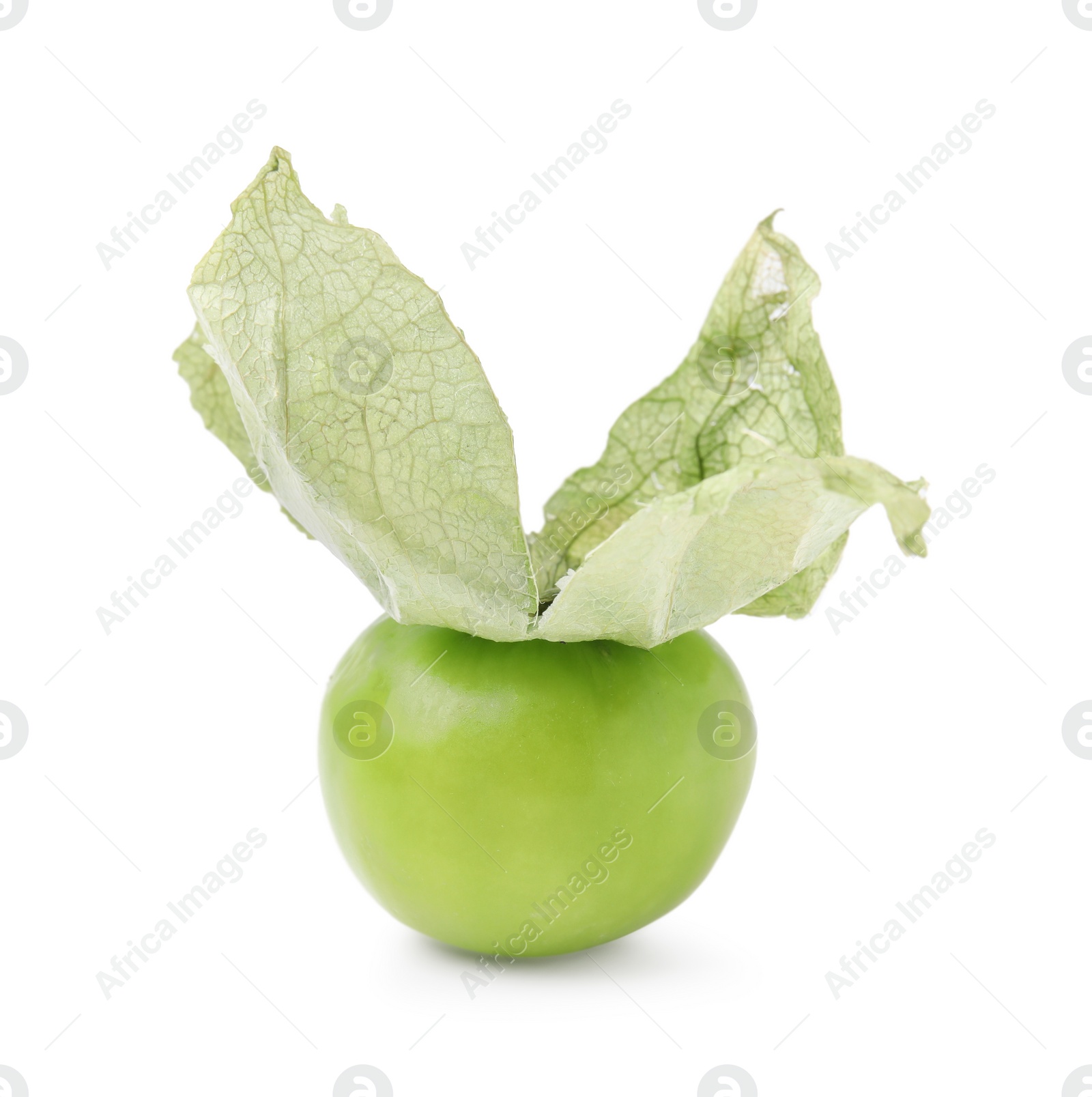 Photo of Fresh green tomatillo with husk isolated on white