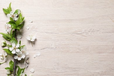 Photo of Cherry tree branch with beautiful blossoms on white wooden table, flat lay. Space for text