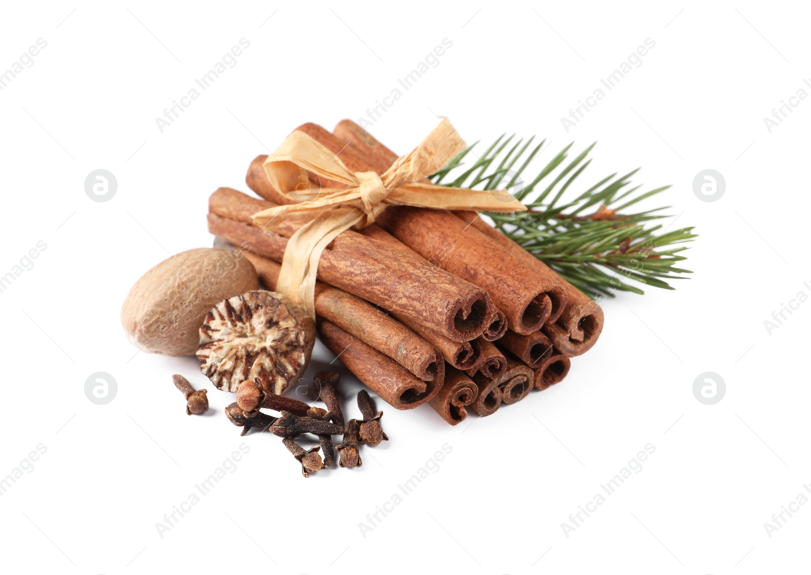 Photo of Different spices and fir branch on white background