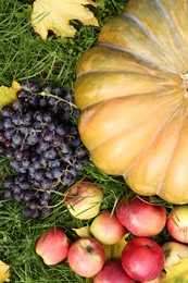 Ripe pumpkin, fruits and maple leaves on green grass outdoors, flat lay. Autumn harvest