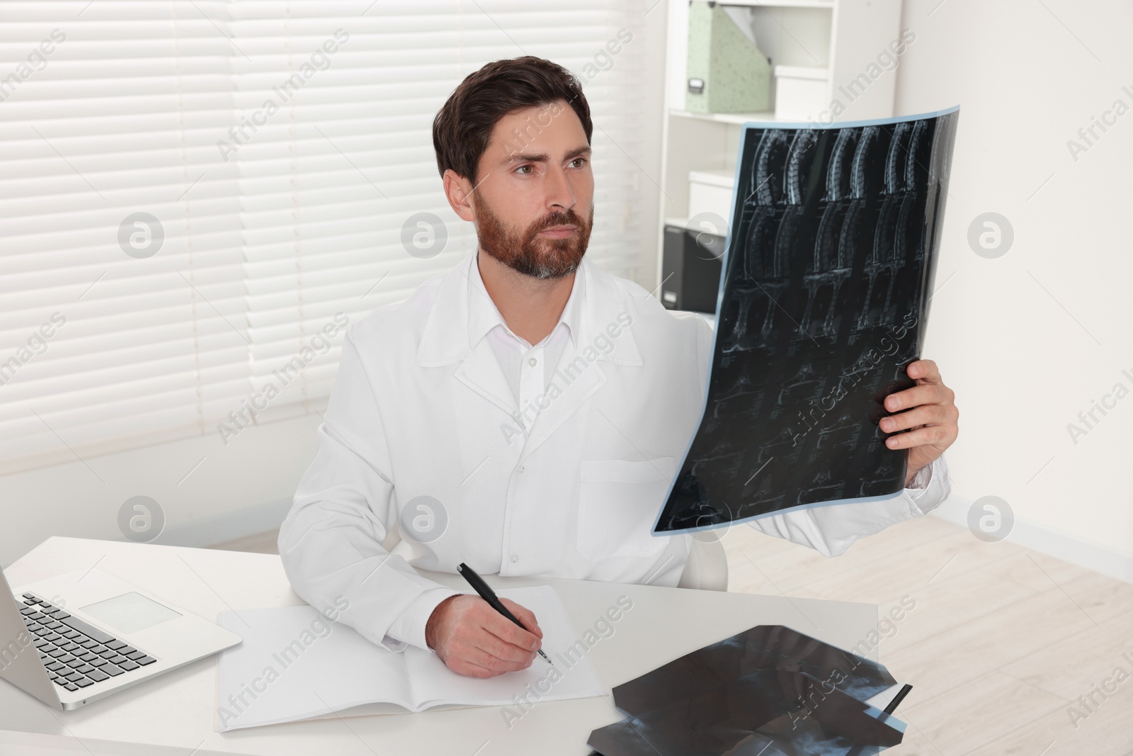 Photo of Doctor examining neck MRI scan in hospital