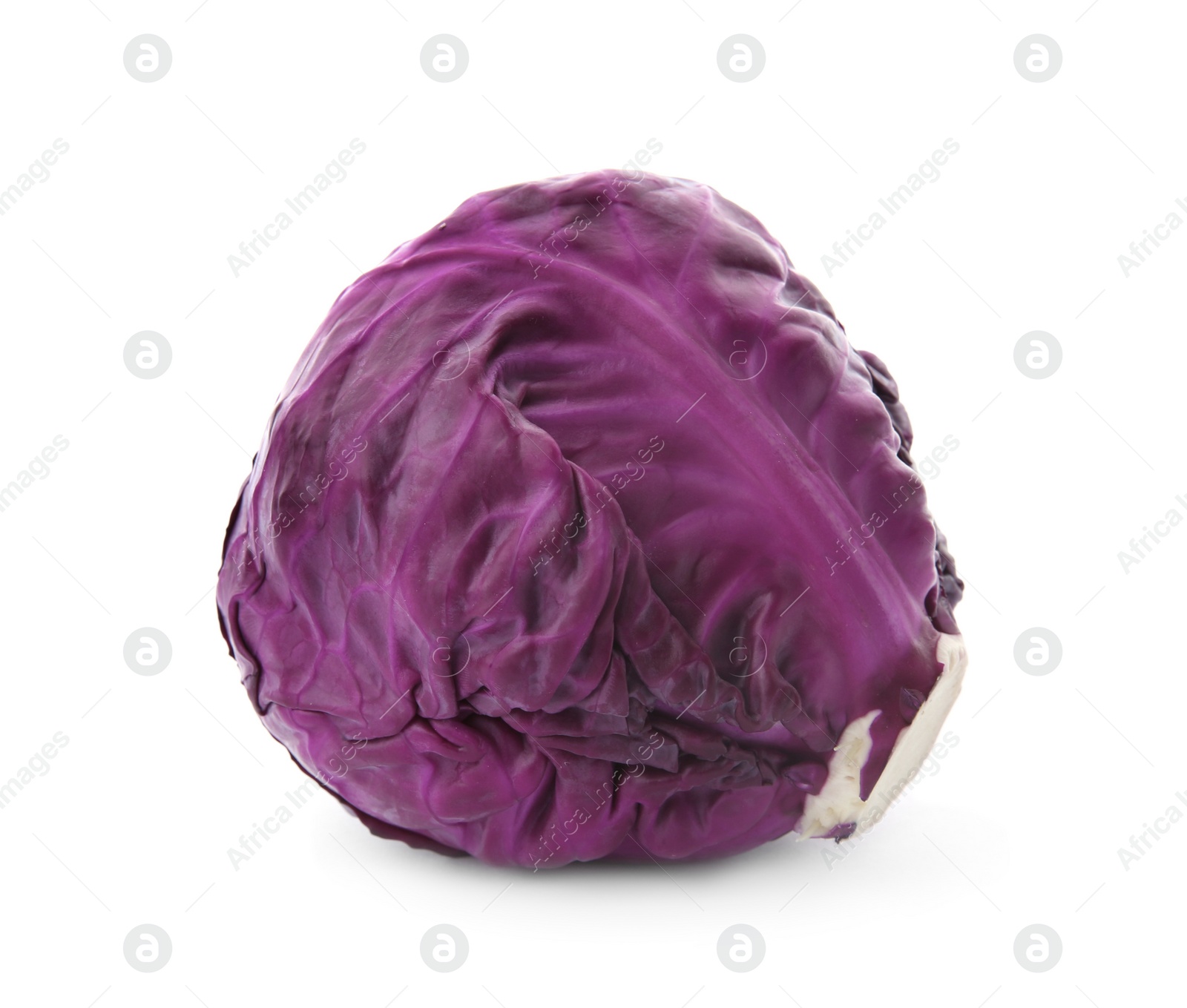 Photo of Whole ripe red cabbage on white background