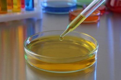 Photo of Dripping yellow liquid into Petri dish on grey table in laboratory, closeup