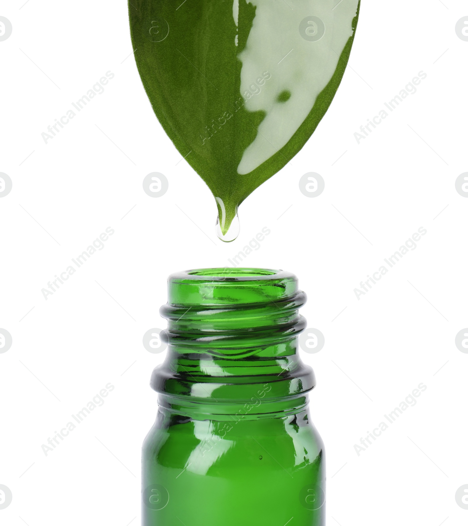 Photo of Essential oil drop falling from green leaf into glass bottle on white background, closeup