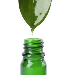 Essential oil drop falling from green leaf into glass bottle on white background, closeup