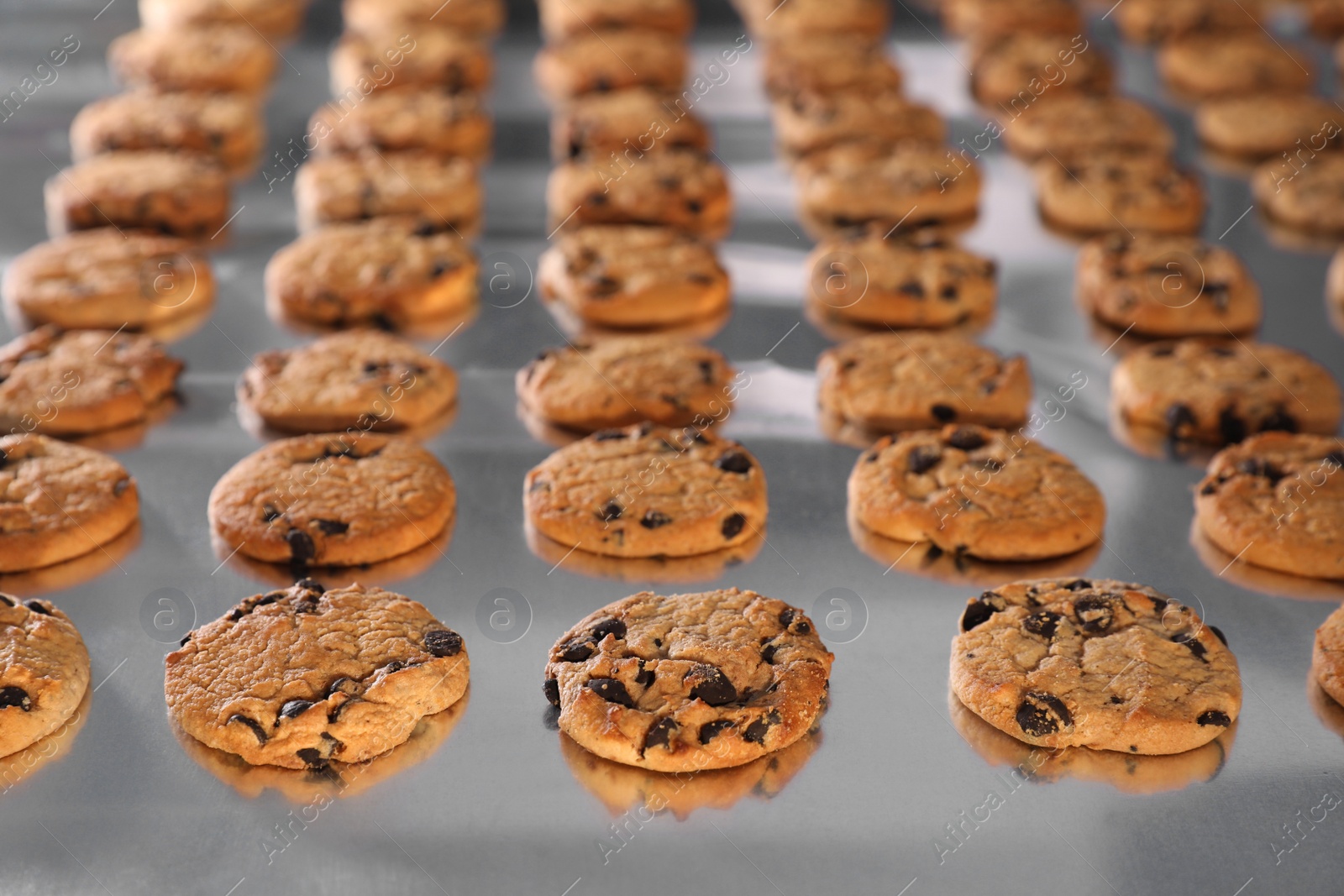 Photo of Many delicious cookies on production line, closeup