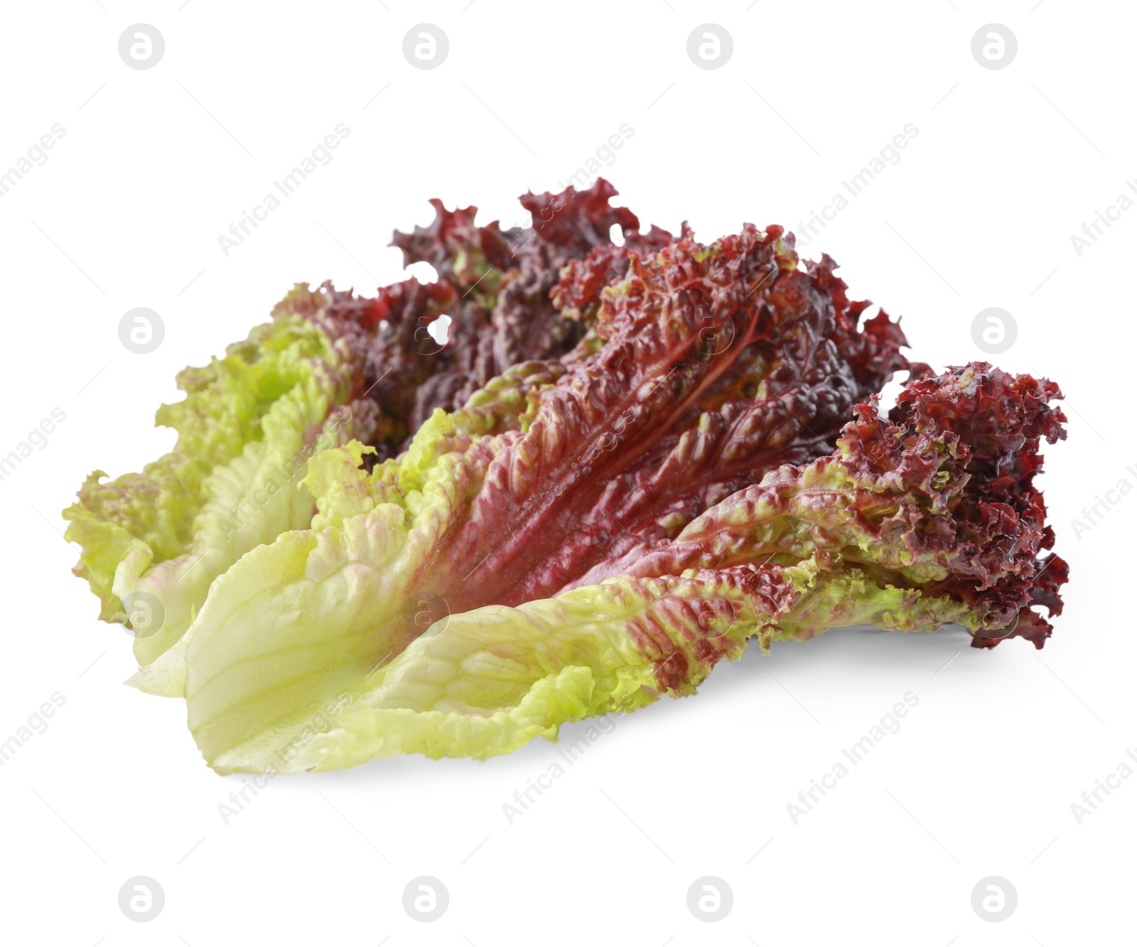 Photo of Leaves of fresh red coral lettuce isolated on white